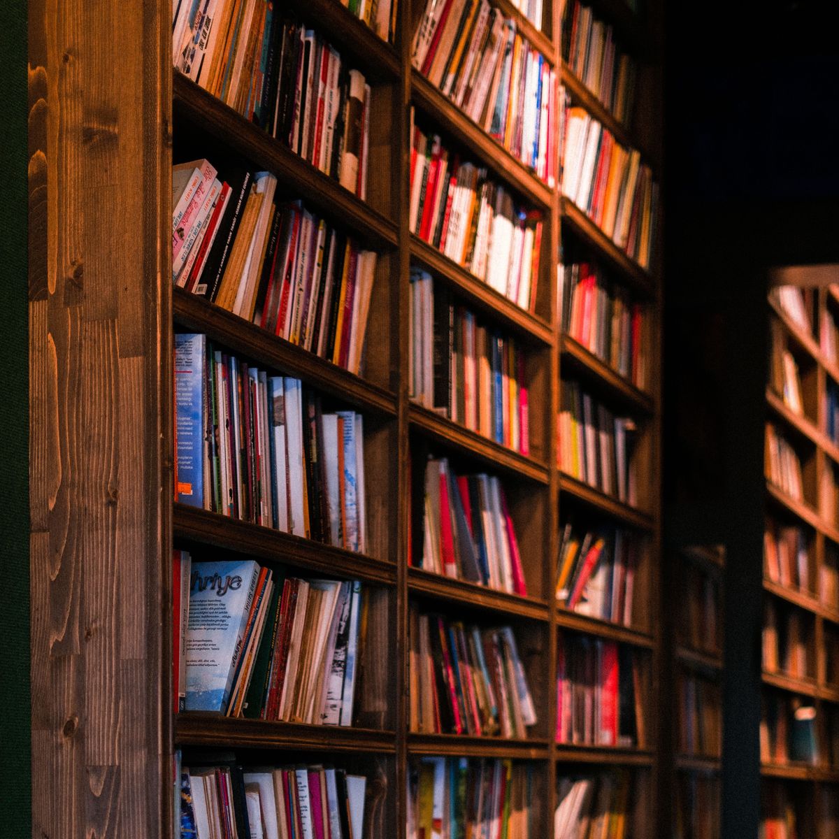 Tall wooden bookshelves packed with colourful books in warm, low light